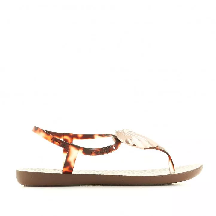 Chanclas Ipanema con detalles marrones