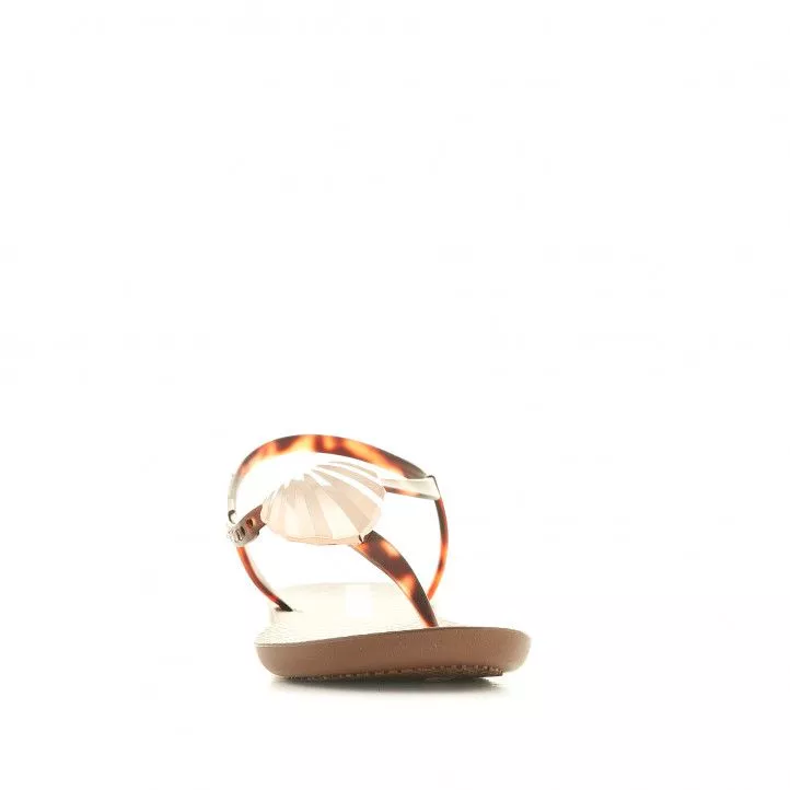 Chanclas Ipanema con detalles marrones