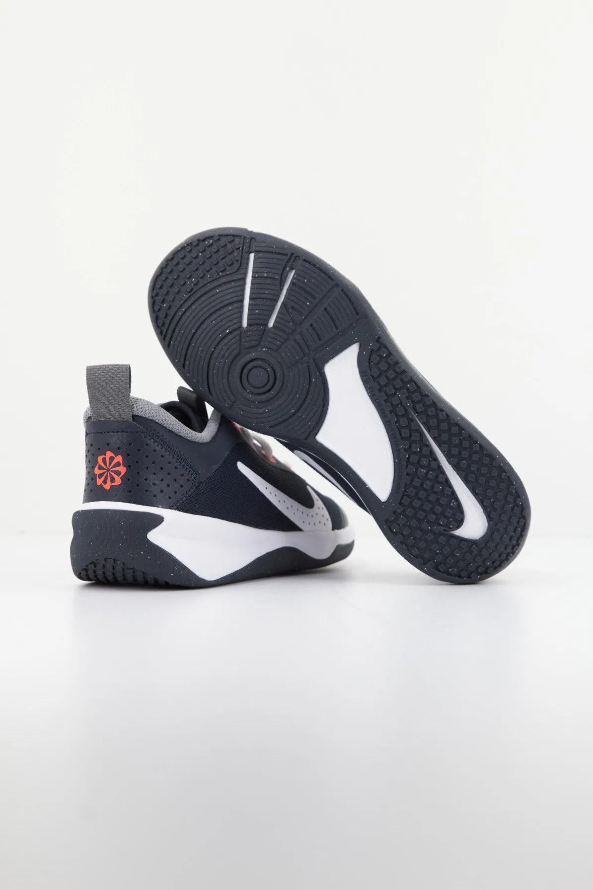 NIKE OMNI MULTICOURT