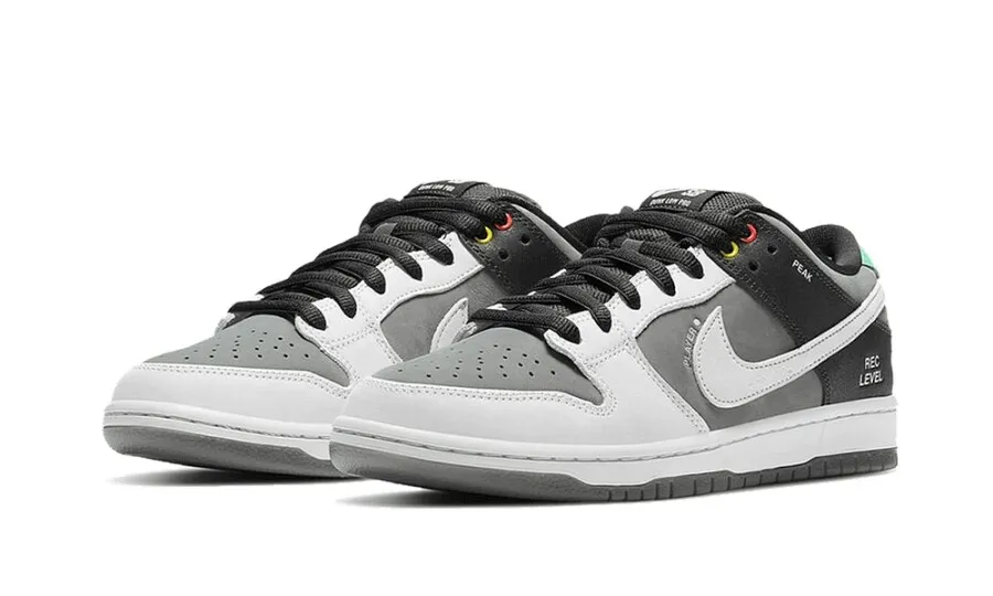 Nike SB Dunk Low VX1000 Camcorder