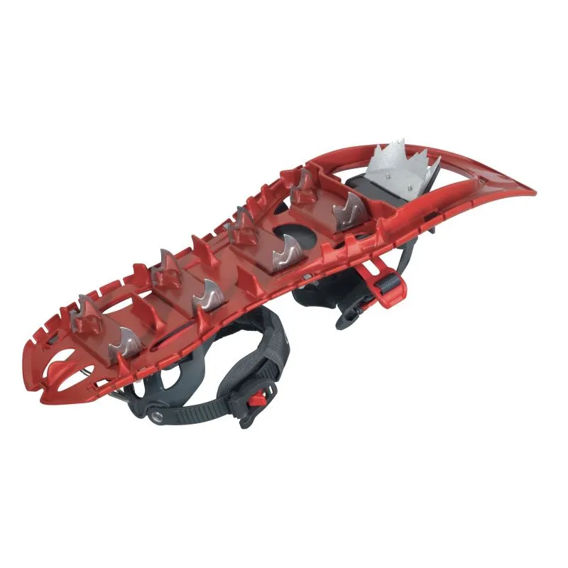 Paquete de raquetas TSL Symbioz Elite L (Ruby) + palos